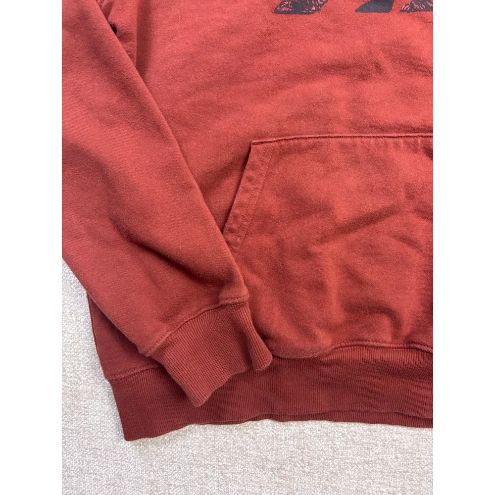 The North Face Mens Bear Graphic Pullover Hoodie Rust Red Size M